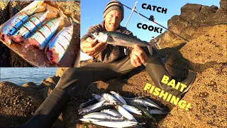 MACKEREL- Catch Clean Cook , SHORE FISHING From the Rocks