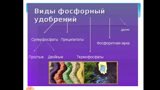 Абдукаримов А.М. Современная технология выращивания рассадочных материалов. Лекция №8 (бакалавриат)