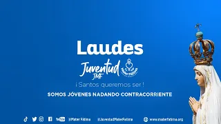 Rezo de los Laudes || Lunes, XXXIII semana del Tiempo Ordinario, feria