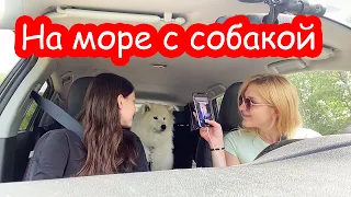 VLOG Настя, Катя и Луна приехали на море