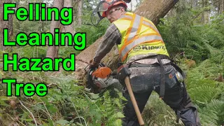 Felling Dangerous Leaning Hazard Tree