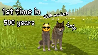 PLAYING WILDCRAFT AFTER 2 YEARS 😂 (SUPER FUNNY) *Wild Craft: Animal Sim Online 3D*