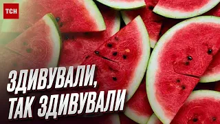 🍉 А так можна було? Неочікуваний врожай кавунів зібрали там, де й не подумав би