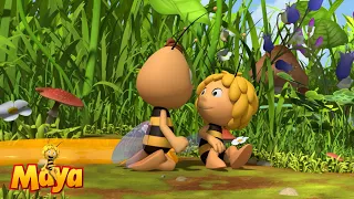 Willy saves Maya - Maya the bee🐝🍯🐝