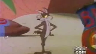 Wile E. Coyote finally gets the Road Runner