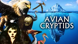 The Avian Cryptid Iceberg Explained