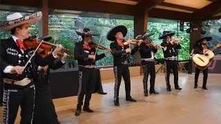 mariachis en Barcelona Son de la negra Mariachi Internacional Barcelona