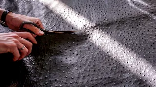 Making HANDMADE Card Holder in Ostrich