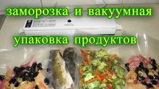 заморозка продуктов и вакуумная упаковка, заготовки на зиму