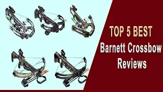 Top 5 Best Barnett Crossbow |  Barnett Crossbows 2023