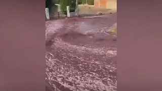 Red wine floods the streets of small Portuguese town