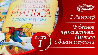 Чудесное путешествие Нильса с дикими гусями (Сельма Лагерлеф)  - глава 1  |  Аудиосказка для детей