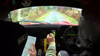 Jack Newman / Andrew Browne - Killarney Historic Rally 2014 - Stage 3