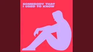 Somebody That I Used To Know (Extended Mix)