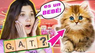 SI LO PUEDES DELETREAR TE LO COMPRO Challenge 😺 GANO MI GATO BEBÉ? ❤️ Daniela Golubeva