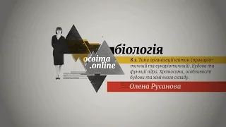 ЗНО  Біологія  8 1  Типи організації клітин прокаріотичний та еукаріотичний Будова та функції ядра Х