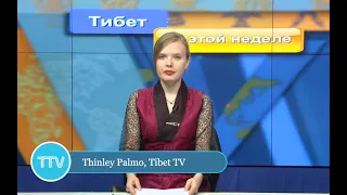 Tibet This Week - Russian: Тибет на этой неделе ( 7th June 2024 )