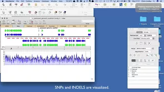 Reference Assembly with MacVector and Assembler