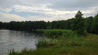 Озеро Лука  -  Волинь 🌳🌲🌿