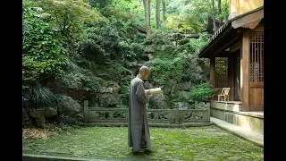 90後和尚講紅樓夢：賈寶玉就是我 A Post-90 Monk Who Reads Dream of the Red Chamber: Jia Baoyu is Me