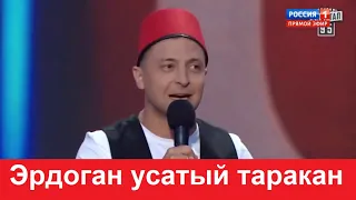 Зеленский - Эрдоган усатый таракан