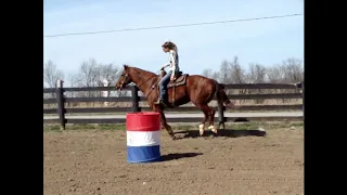 BIG STOUT 16 HAND SORREL RANCH HORSE, ROPED OFF OF AND USED FOR ALL RANCH WORK, VERY STOUT