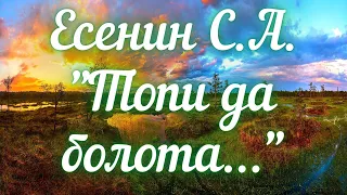 Есенин С.А. Топи да болота...