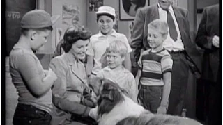 Lassie - "The Teacher" - Episode #146 - Season 5, Ep 3 - 09/21/1958