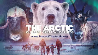 The Arctic: Our Last Great Wilderness | Official Trailer