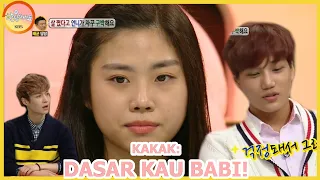 Kakak: DASAR KAU BABI! |Hello Counselor|SUB INDO|131014Siaran KBS WORLD TV|