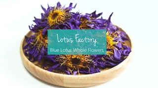 Organic Blue Lotus Whole Dried Flowers from Lotus Factory