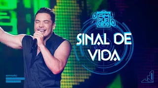 Wesley Safadão - Sinal de Vida - DVD Safadão Amplificado