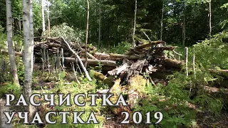 Расчистка участка под дачу Сезон 2019