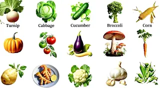 Vegetables Vocabulary| Vegetables Name in English with pictures| Basic English Vocabulary