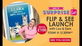 FLIP & SEE - Made to Surprise New Collection!