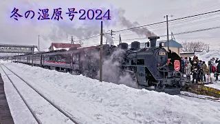 釧路冬の湿原号2024～JR Hokkaido Winter Special Train JNR Type C11