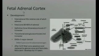 Pediatric Grand Rounds 2-16-17