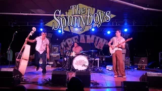 The Spunyboys by RHR©  SCREAMINFESTIVAL #19