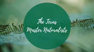 The Texas Master Naturalists