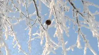 Winter.wmv