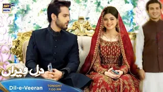 Haidar Hor Hafsa Ki Shadi - Dil-e-Veeran Episode 52 Promo Review By Drama Stories Info