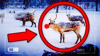 15 Times Rudolph The Red nosed Reindeer Caught on Camera *SHOCKING*