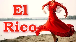 "El Rico" (accordion PRO review)