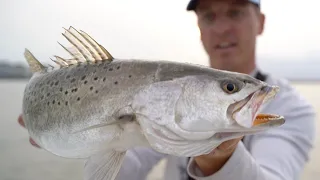 How to Catch Trophy Speckled Trout - Gator Sea Trout Tips and Seminar