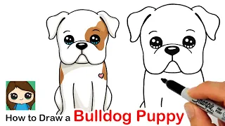 How to Draw an American Bulldog Puppy Easy 🦴❤️