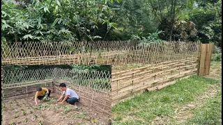 The girl's mood is better - Khoa and the girl make a simple vegetable garden using bamboo