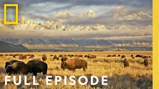 Wild Yosemite (Full Episode) | America's National Parks