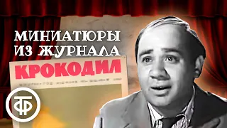 Короткие истории, или Несколько улыбок по разным поводам. Журнал "Крокодил". 1 серия (1963)