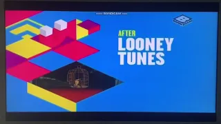 Boomerang UK (2015-2018) - Looney Tunes Later/Next Bumpers