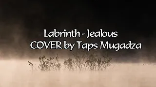 Labrinth - Jealous | COVER by Taps Mugadza | Lyrics video